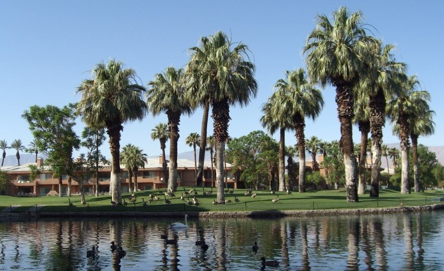 condos in palm springs golf resort