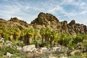 Palm Springs Hiking Trail